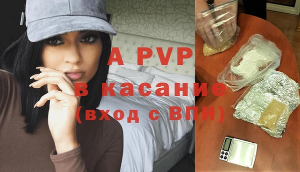ПСИЛОЦИБИНОВЫЕ ГРИБЫ Магас